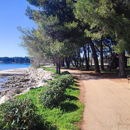 Apartments Novigrad Novigrad Istria Kültér fotó
