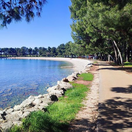 Apartments Novigrad Novigrad Istria Kültér fotó