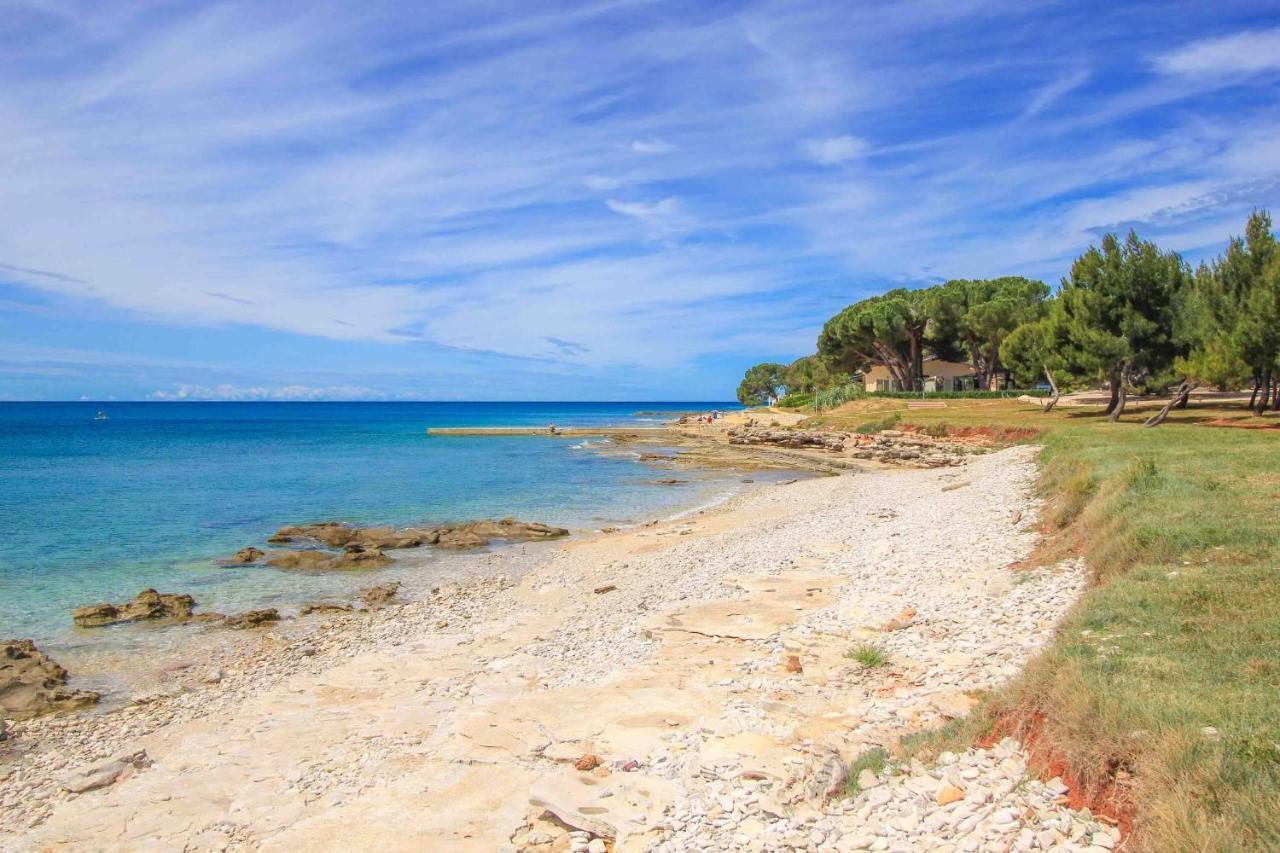 Apartments Novigrad Novigrad Istria Kültér fotó